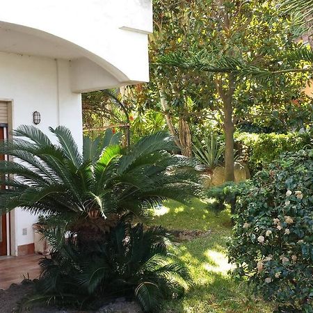 Giardino Mediterraneo Lacco Ameno  Esterno foto