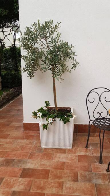 Giardino Mediterraneo Lacco Ameno  Esterno foto