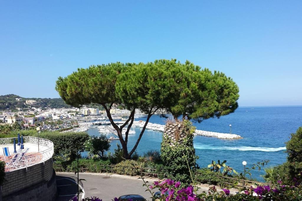 Giardino Mediterraneo Lacco Ameno  Esterno foto