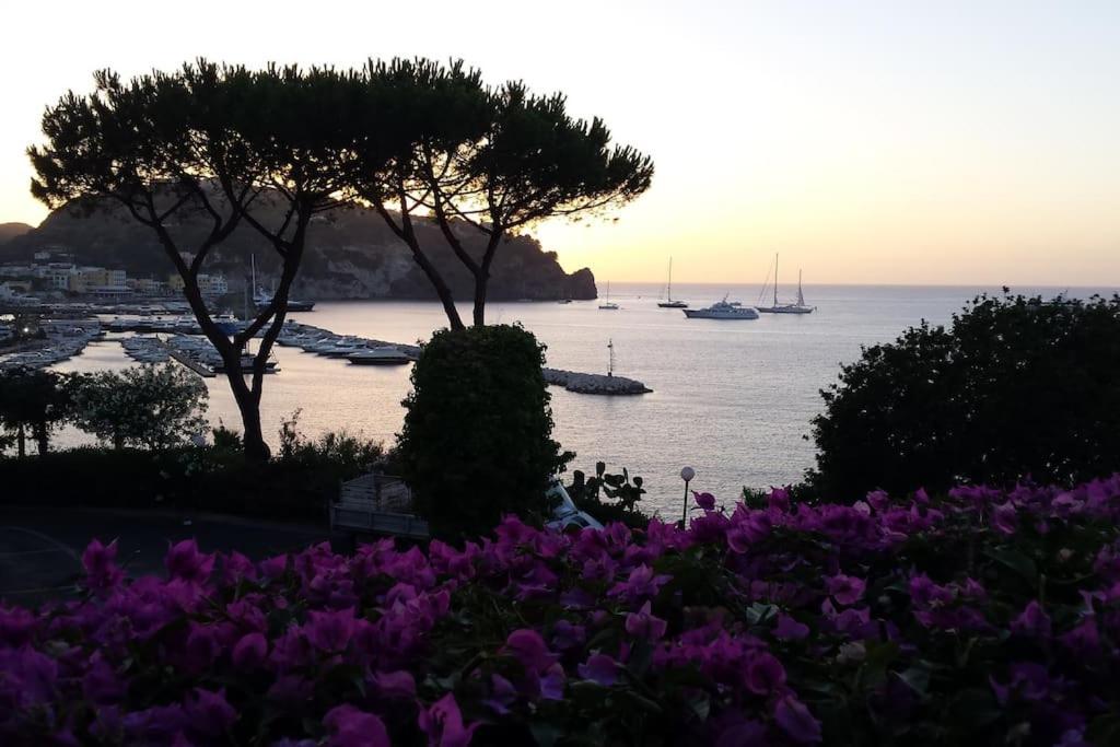Giardino Mediterraneo Lacco Ameno  Esterno foto