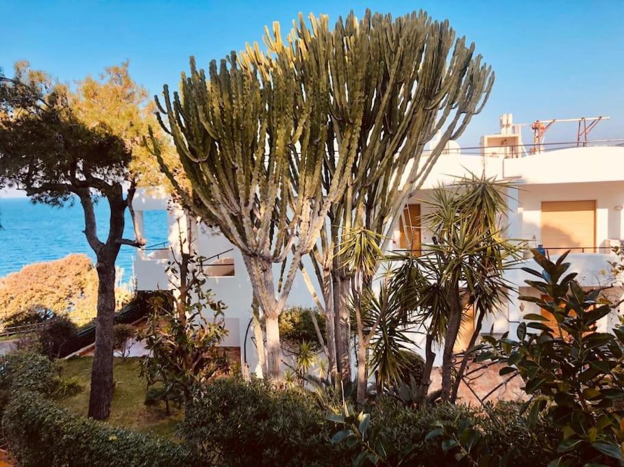 Giardino Mediterraneo Lacco Ameno  Esterno foto