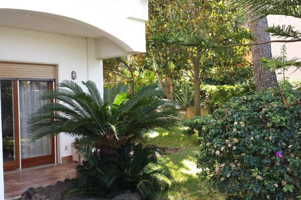 Giardino Mediterraneo Lacco Ameno  Esterno foto