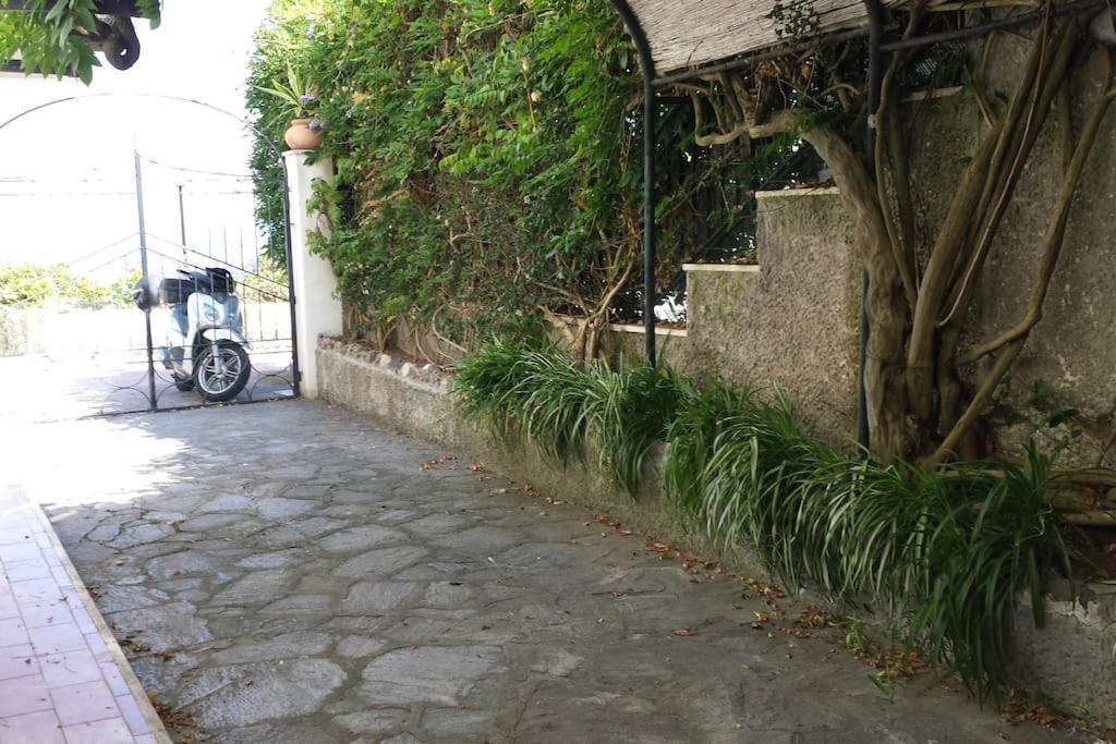 Giardino Mediterraneo Lacco Ameno  Esterno foto